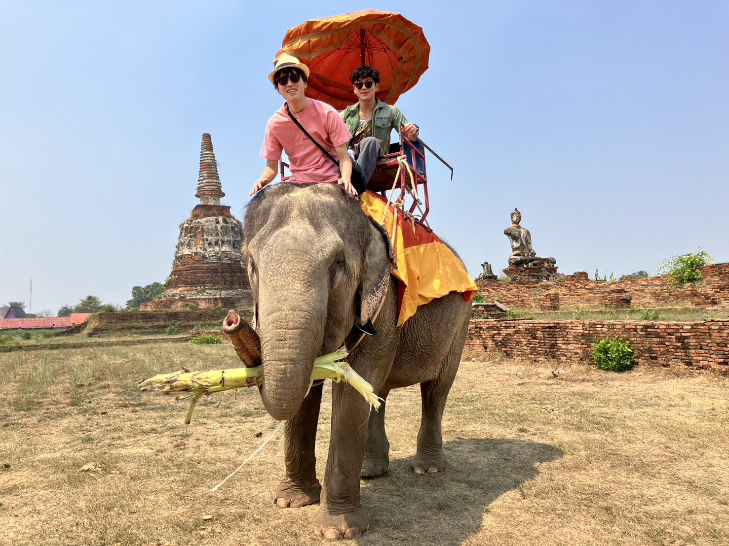 タイのタクシー運転手が、奥さんを連れてきた